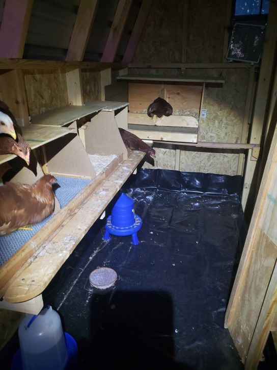 Interior, second try.