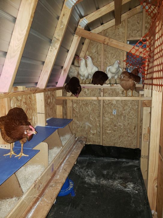 Interior, seventh try.