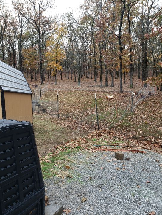 First chicken yard expansion... up the hill, different angle