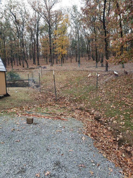 First chicken yard expansion... up the hill